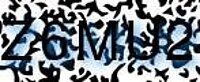grafischer Sicherheitscode
