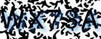 grafischer Sicherheitscode