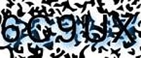 grafischer Sicherheitscode