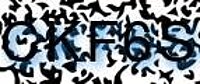 grafischer Sicherheitscode