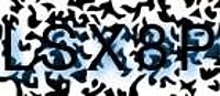 grafischer Sicherheitscode