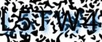 grafischer Sicherheitscode