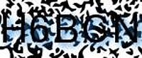 grafischer Sicherheitscode