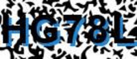 grafischer Sicherheitscode