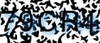grafischer Sicherheitscode