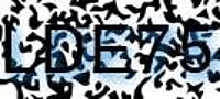 grafischer Sicherheitscode