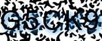 grafischer Sicherheitscode