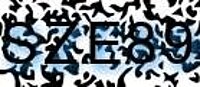 grafischer Sicherheitscode