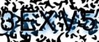 grafischer Sicherheitscode