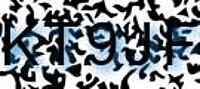 grafischer Sicherheitscode
